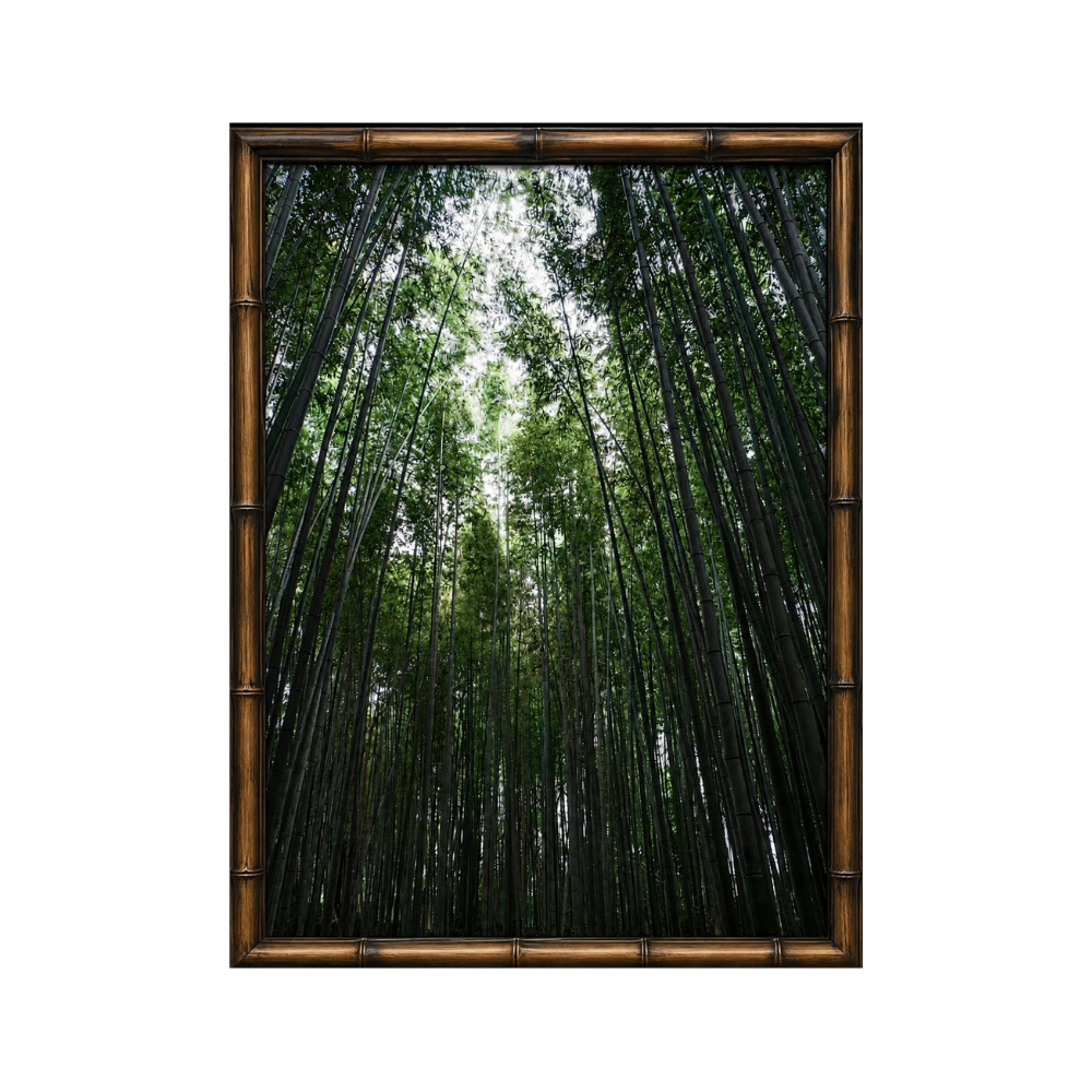 Bamboo Cathedral