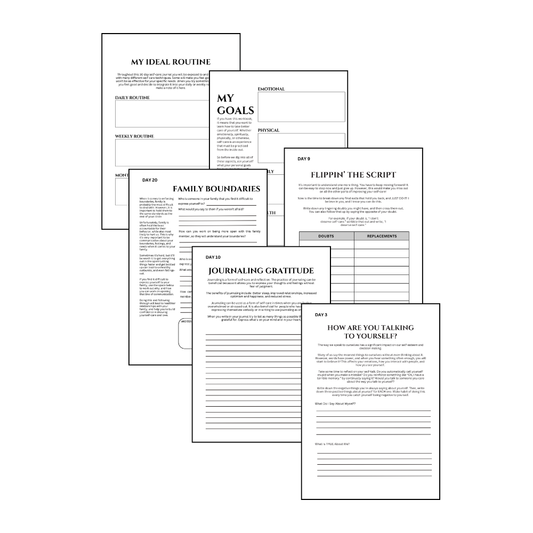 Self Alignment System™ | Alignment & Life Audit Workbook
