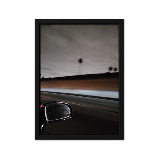 Passing Palms