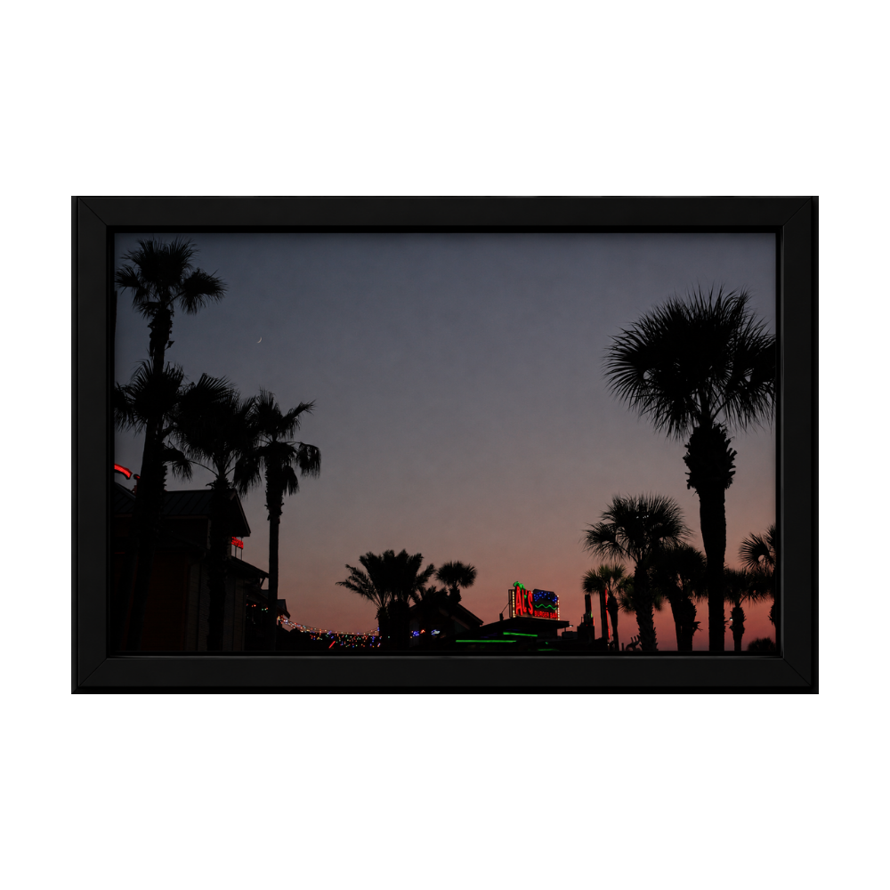 Neon Palms
