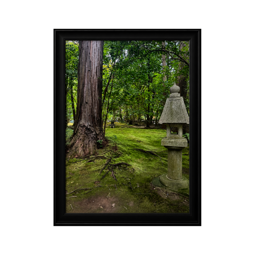 Sacred Ground