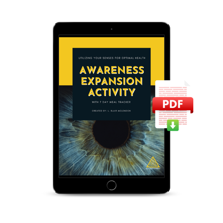 Awareness Exercise with Meal Tracker [FREE] PDF Download