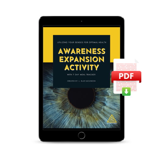 Awareness Exercise with Meal Tracker [FREE] PDF Download